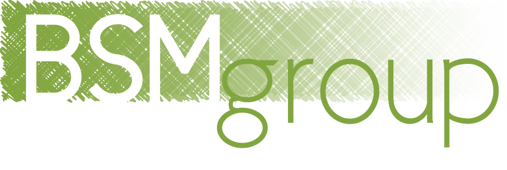 BSM Group Architects logo